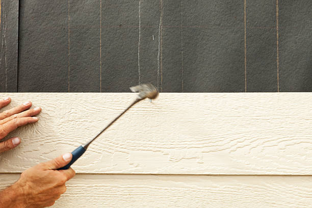 Best Steel Siding Installation  in Reading, MI